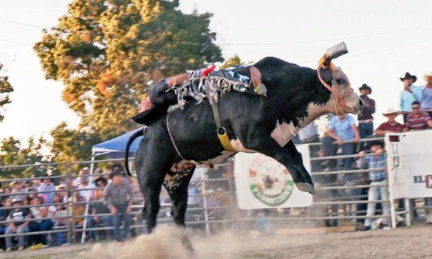 Tlachichilco: Invitación al Jaripeo Ranchero