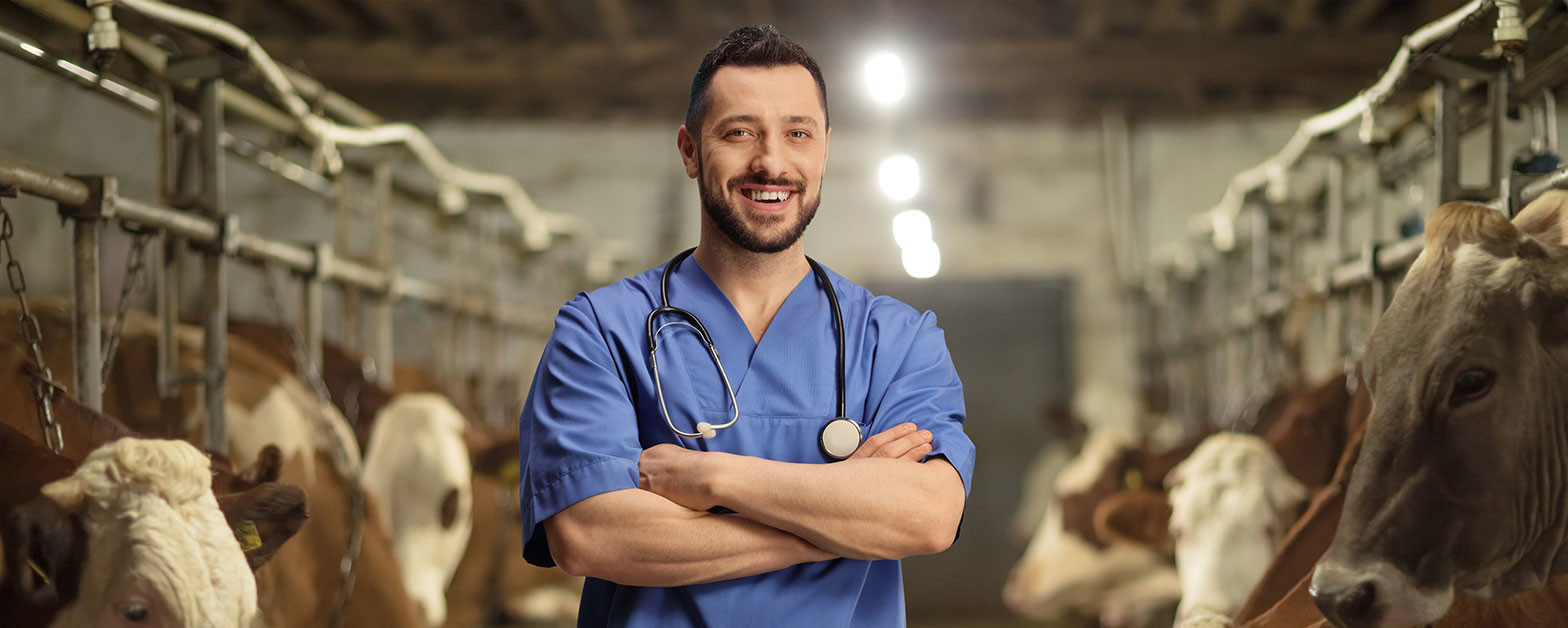 Día del Médico Veterinario Zootecnista Huayacocotla: Reconocimiento a los Profesionales del Cuidado Animal