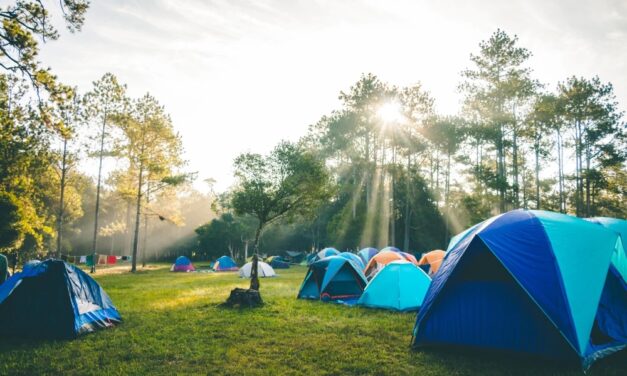 Álamo: Turi-Verano: Disfruta de un camping en confites lleno de aventuras