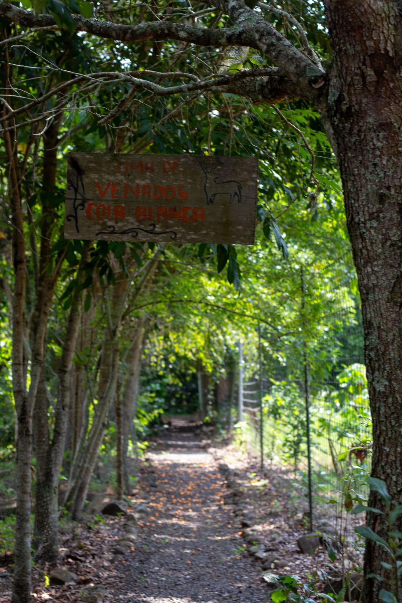 Chontla: Recorrido por instalaciones de Fundación Pedro y Elena Hernández «Reserva ecológica»