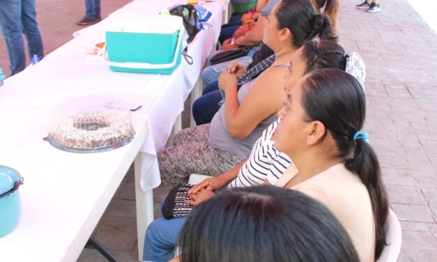 En Chinampa de Gorostiza: SEDESOL apoya a mujeres