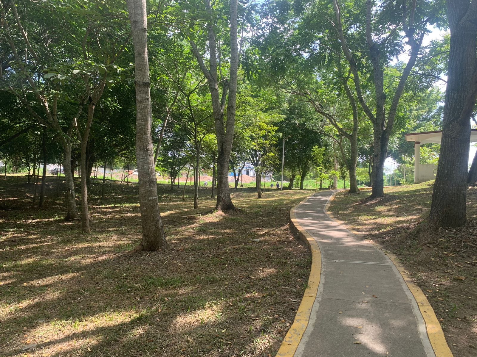 Martínez de la Torre: Mantenimiento en el Parque Ecológico a Cargo del Personal de Parques y Jardines