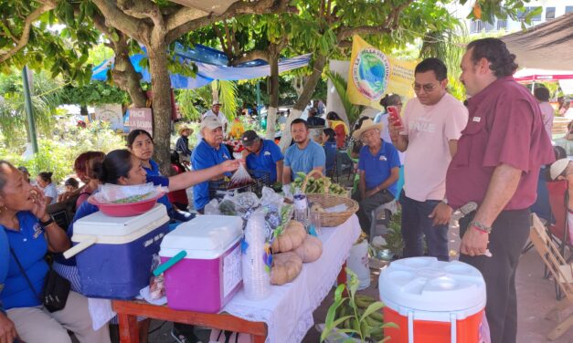 Cazones: Recorrido por el tianguis agrícola