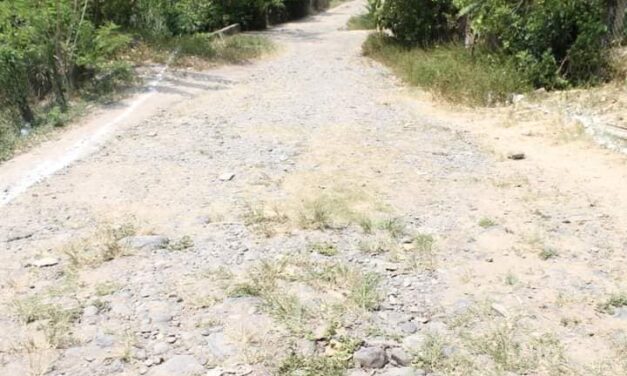 CHINAMPA DE GOROSTIZA: MAS DE UN MILLÓN DE PESOS PARA CONSTRUCCIÓN DE PAVIMENTO DE LA COLONIA SAN PEDRO