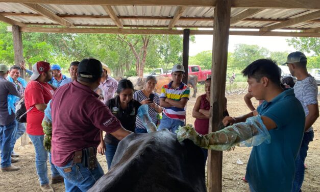 Taller de Inseminación Artificial Impartido en Los Altos del Metate por el Gobierno Municipal de Citlaltépetl