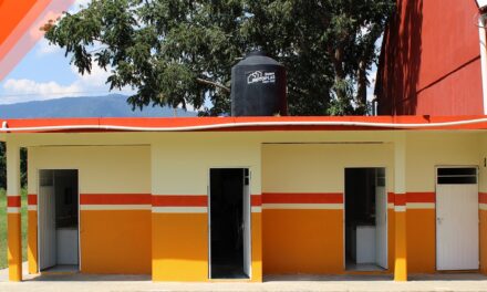 TEPETZINTLA: REHABILITACIÓN DE SANITARIOS EN LA PRIMARIA RICARDO FLORES MAGON