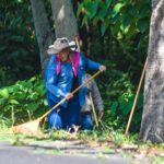 Tantima: Limpieza de carretera