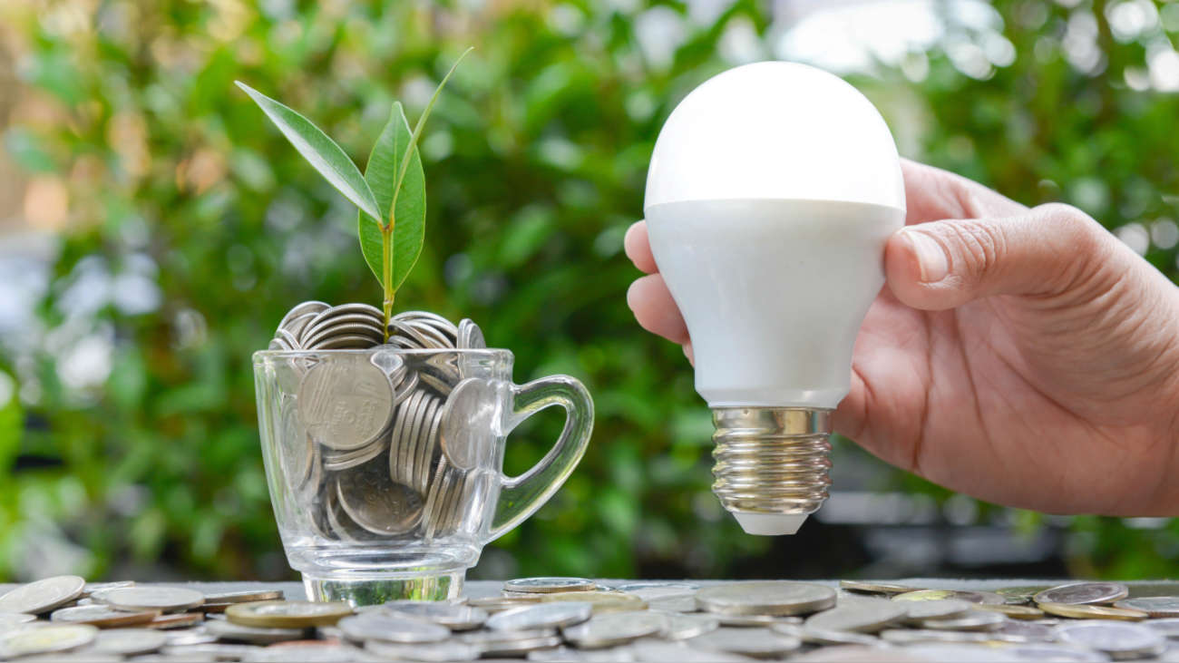 Ozuluama: Distribución de Paquetes de Focos LED de 10W para Ahorro de Energía