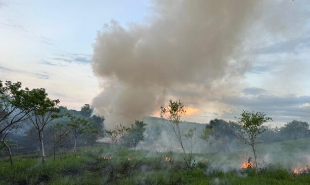 Papantla: Intervención Eficaz de Protección Civil Municipal en la Extinción de Incendio en Colonia México