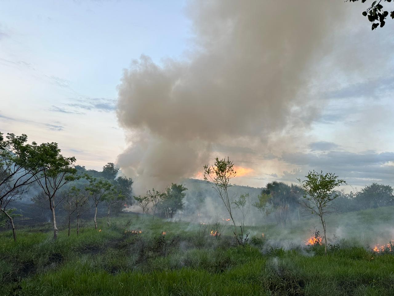 Papantla: Intervención Eficaz de Protección Civil Municipal en la Extinción de Incendio en Colonia México
