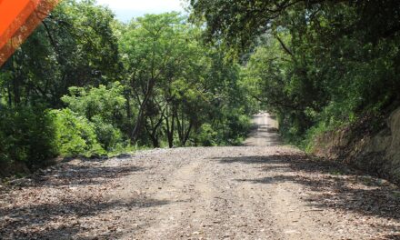 «El Gobierno Municipal de Tepetzintla Culmina con Éxito la Rehabilitación del Camino Tecomate – La Peña»