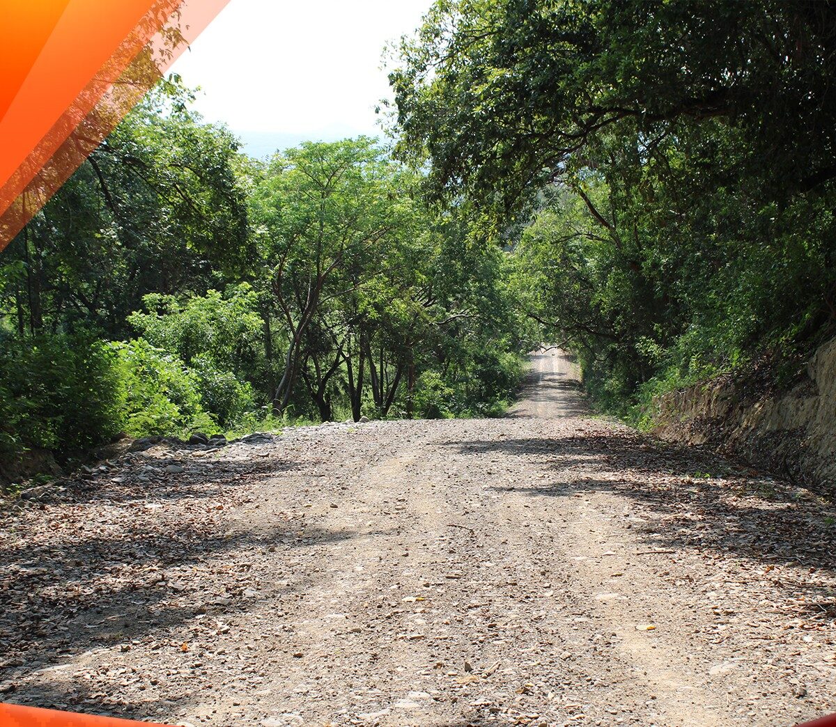 «El Gobierno Municipal de Tepetzintla Culmina con Éxito la Rehabilitación del Camino Tecomate – La Peña»