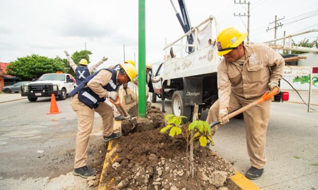 Poza Rica: “Avance Destacado en la Iluminación de la Carretera Poza Rica-Coatzintla para Mayor Seguridad y Embellecimiento»