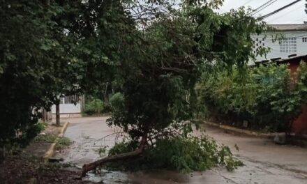 Martinez de la torre: Alerta por lluvias