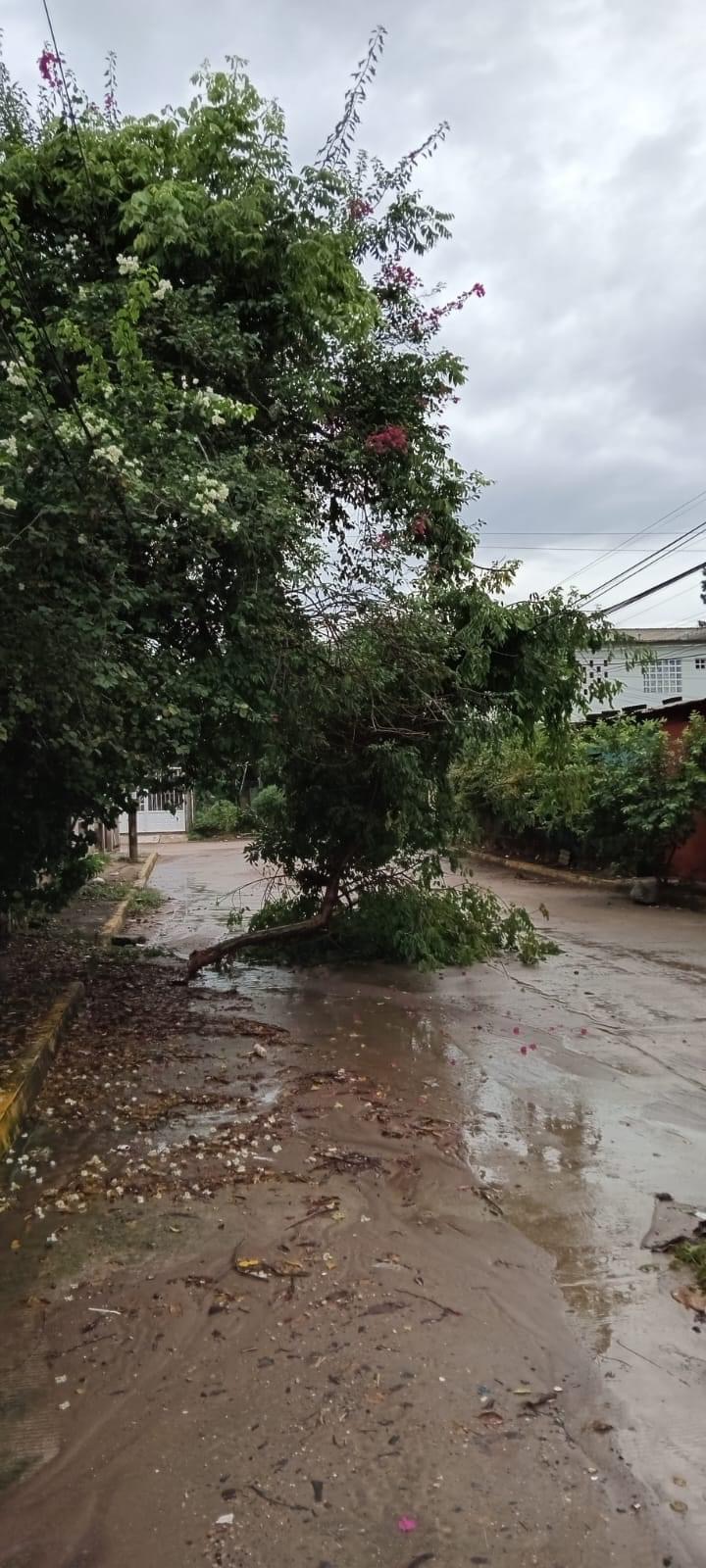 Martinez de la torre: Alerta por lluvias