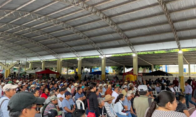 PAPANTLA: SE REALIZA EL FORO REGIONAL CITRÍCOLA
