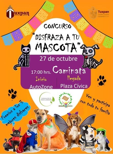 Tuxpan: ¿Quieres disfrazar a tu mascota?