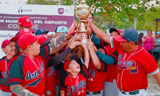 FINAL DE BEISBOL INFANTIL