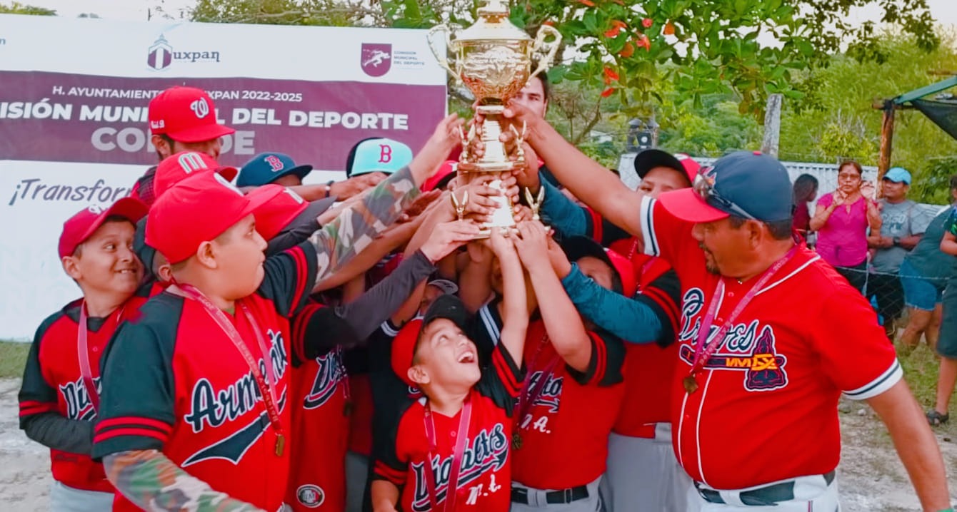 FINAL DE BEISBOL INFANTIL
