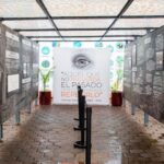 Llega a Poza Rica  el Túnel del Museo Memoria y Tolerancia
