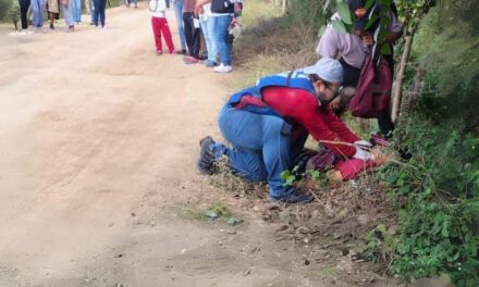 Encuentran sin vida a hombre en camino de terracería en Pánuco, Veracruz