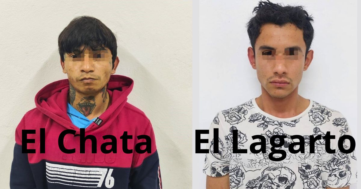 imagen destacada (26)