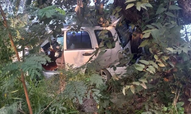 Choca contra un árbol y abandona el vehículo en Cerro Azul