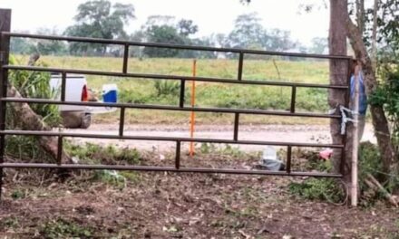 Roban un portón en la comunidad Tamontao, Ozuluama