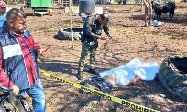 Tampico Alto: Hombre atacado por un toro pierde la vida