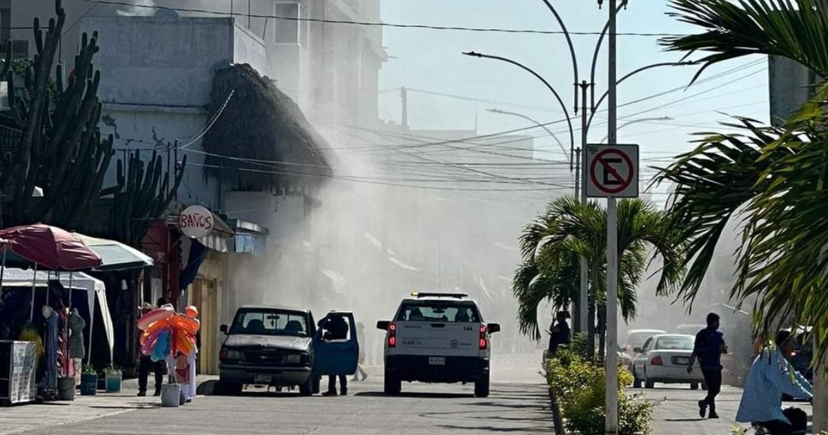 ¡Se incendia rosticería de pollos en Tecolutla!