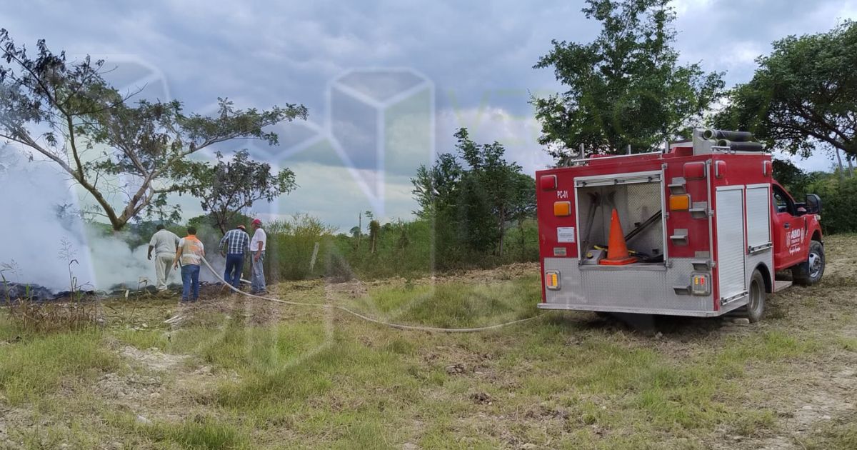 imagen destacada - 2024-02-01T110854.389