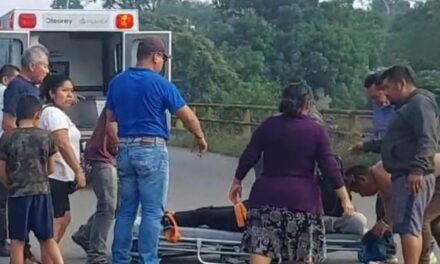Perro “sale de la nada” y provoca accidente en Tecolutla