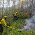 Reporte de avances en el combate a incendios en el estado de Veracruz
