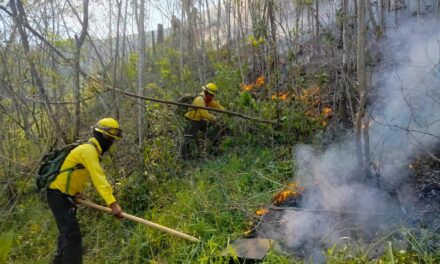 Reporte de avances en el combate a incendios en el estado de Veracruz