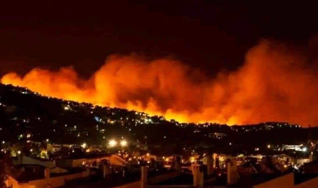 Incendios Forestales azotan Veracruz