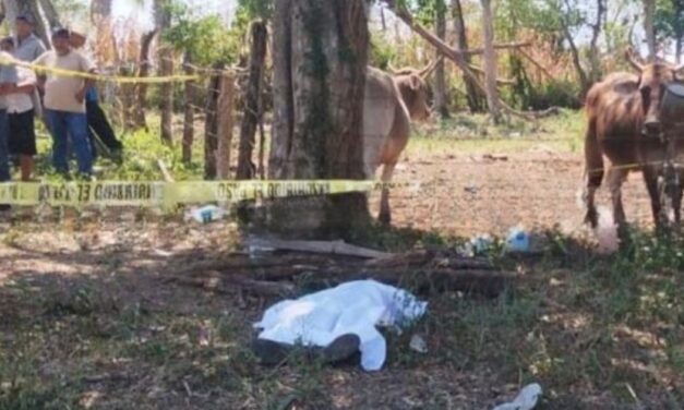 Tantoyuca: Hombre pierde la vida en un potrero
