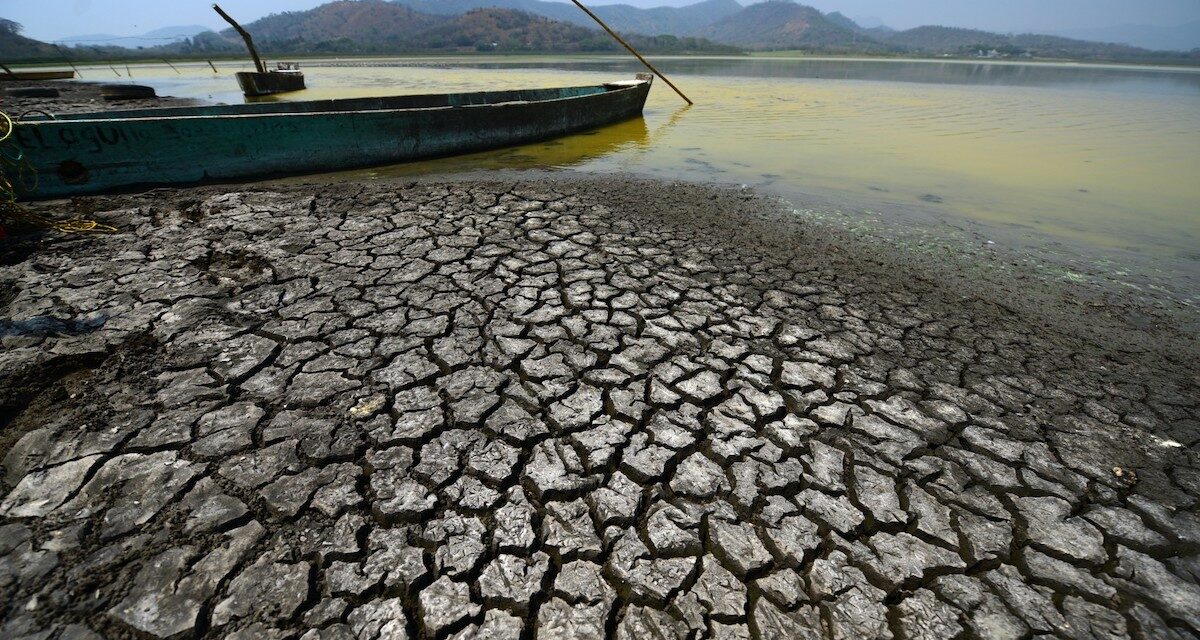 Sequía en el estado de Veracruz: Zona norte del estado la más afectada