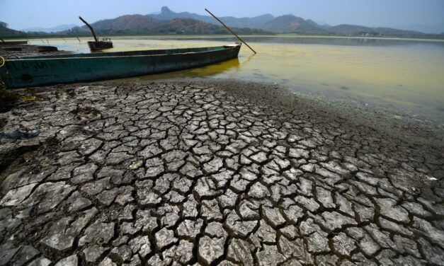 Sequía en el estado de Veracruz: Zona norte del estado la más afectada