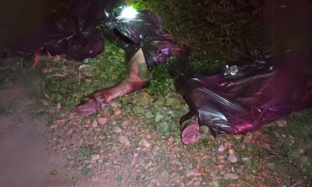 Ganaderos de Chalma víctimas de abigeato: localizan res desmembrada en camino de terracería