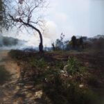 Incendios en Álamo, Veracruz, aumentan peligrosamente: Llaman a evitar quemas clandestinas