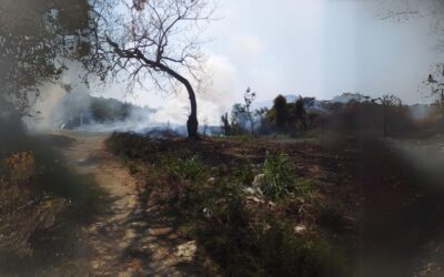 Incendios en Álamo, Veracruz, aumentan peligrosamente: Llaman a evitar quemas clandestinas