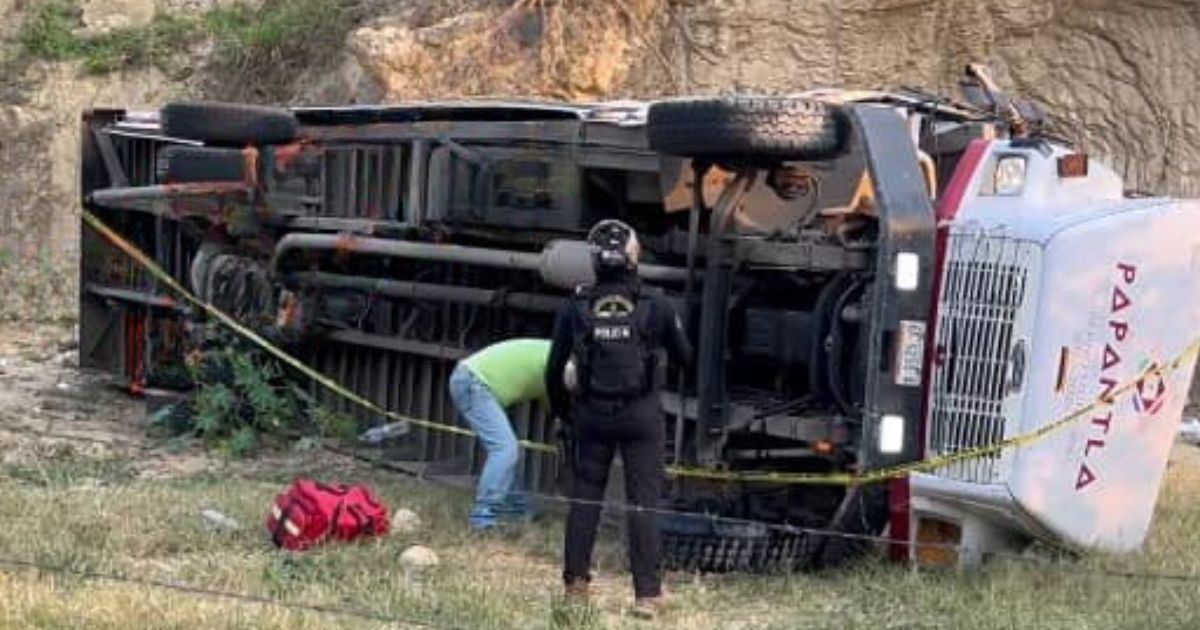 autobus papantla