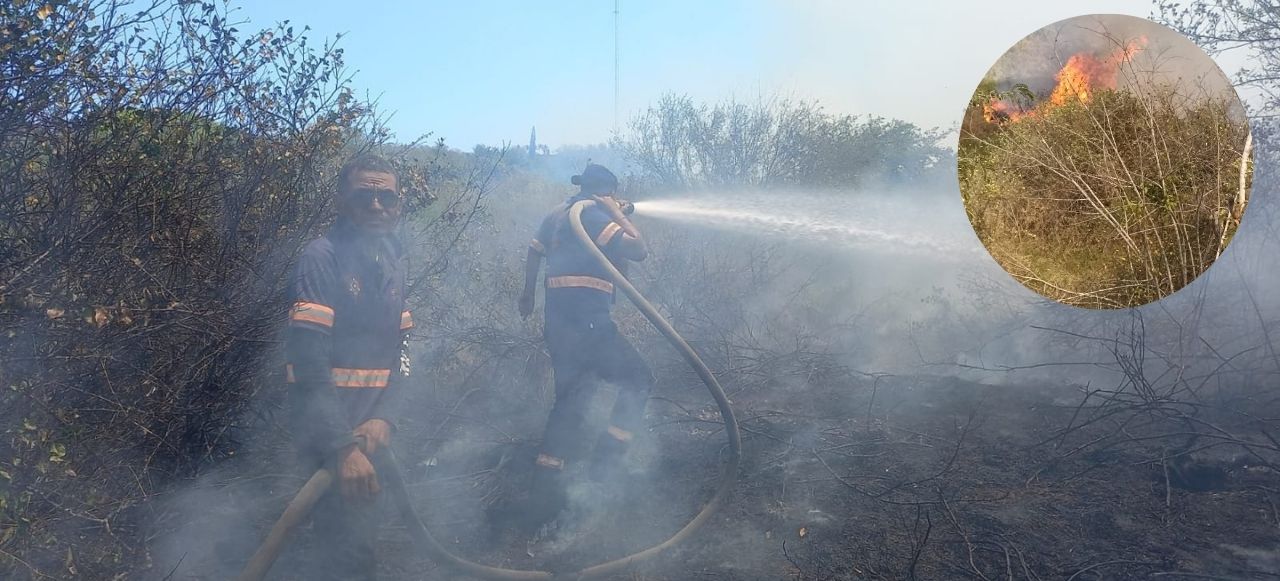 Quema de basura provoca incendio en potrero de Pueblo Viejo