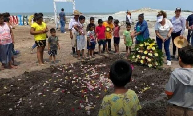 Encuentran sin vida a “Lucero” el delfín de San Jerónimo