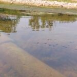 Fuga de petróleo contamina el Río Remolino en Papantla