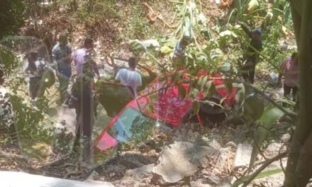 Coche se cae de un puente en Castillo de Teayo, Veracruz