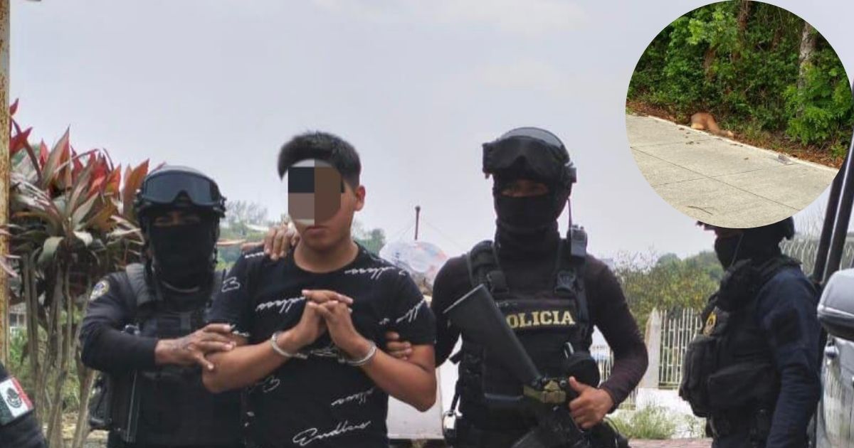 Hallazgo del cuerpo desnudo de una mujer sin vida sacude Papantla: Localizan y detienen al presunto responsable