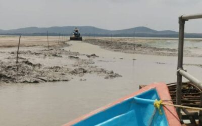 ¡Prácticamente seca la Laguna Mayorazgo! Pueblo Viejo, Pánuco y Tampico Alto podrían quedarse sin agua