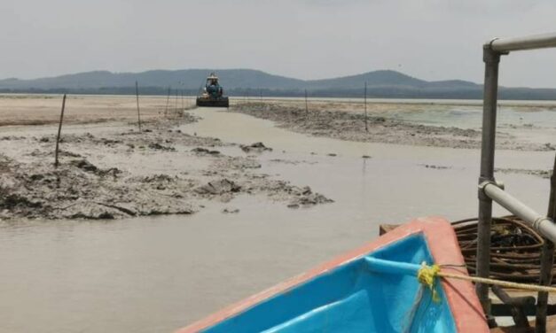 ¡Prácticamente seca la Laguna Mayorazgo! Pueblo Viejo, Pánuco y Tampico Alto podrían quedarse sin agua