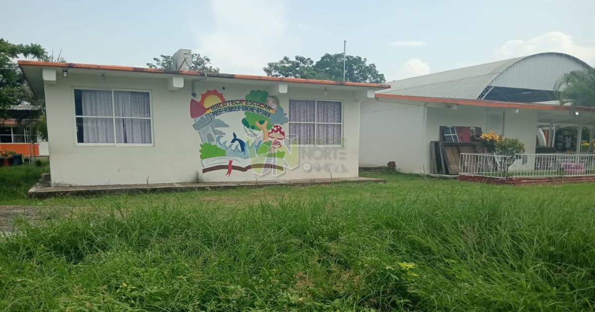 Planteles requieren vigilancia y mantenimiento (1)
